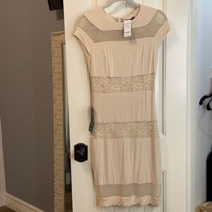 Bebe Lace and Mesh Inset Dress